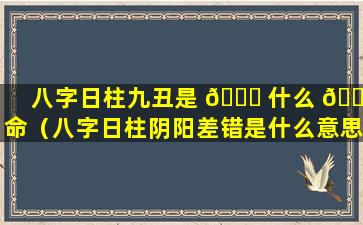 八字日柱九丑是 🐞 什么 🌲 命（八字日柱阴阳差错是什么意思）